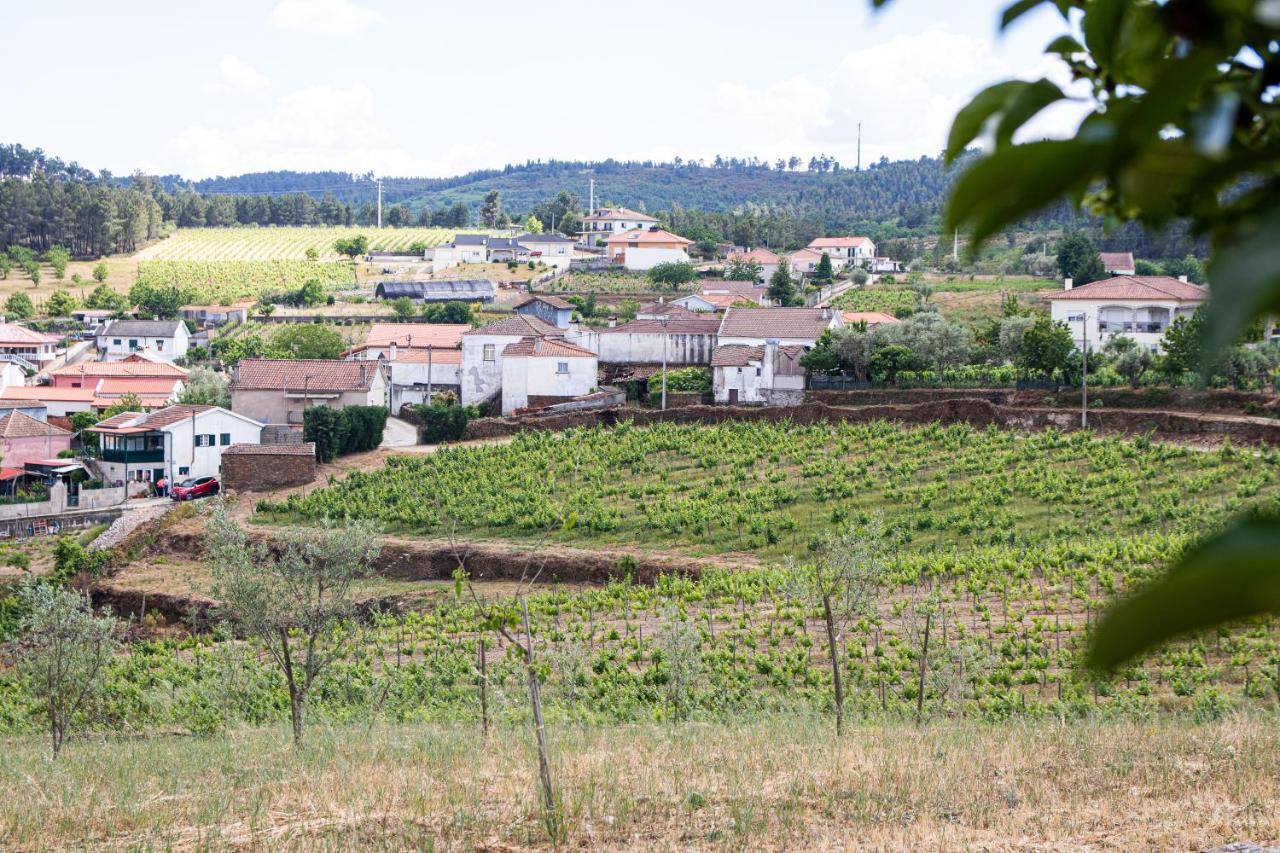 Quinta Da Eira Douro Valley Fermentoes  Exterior foto