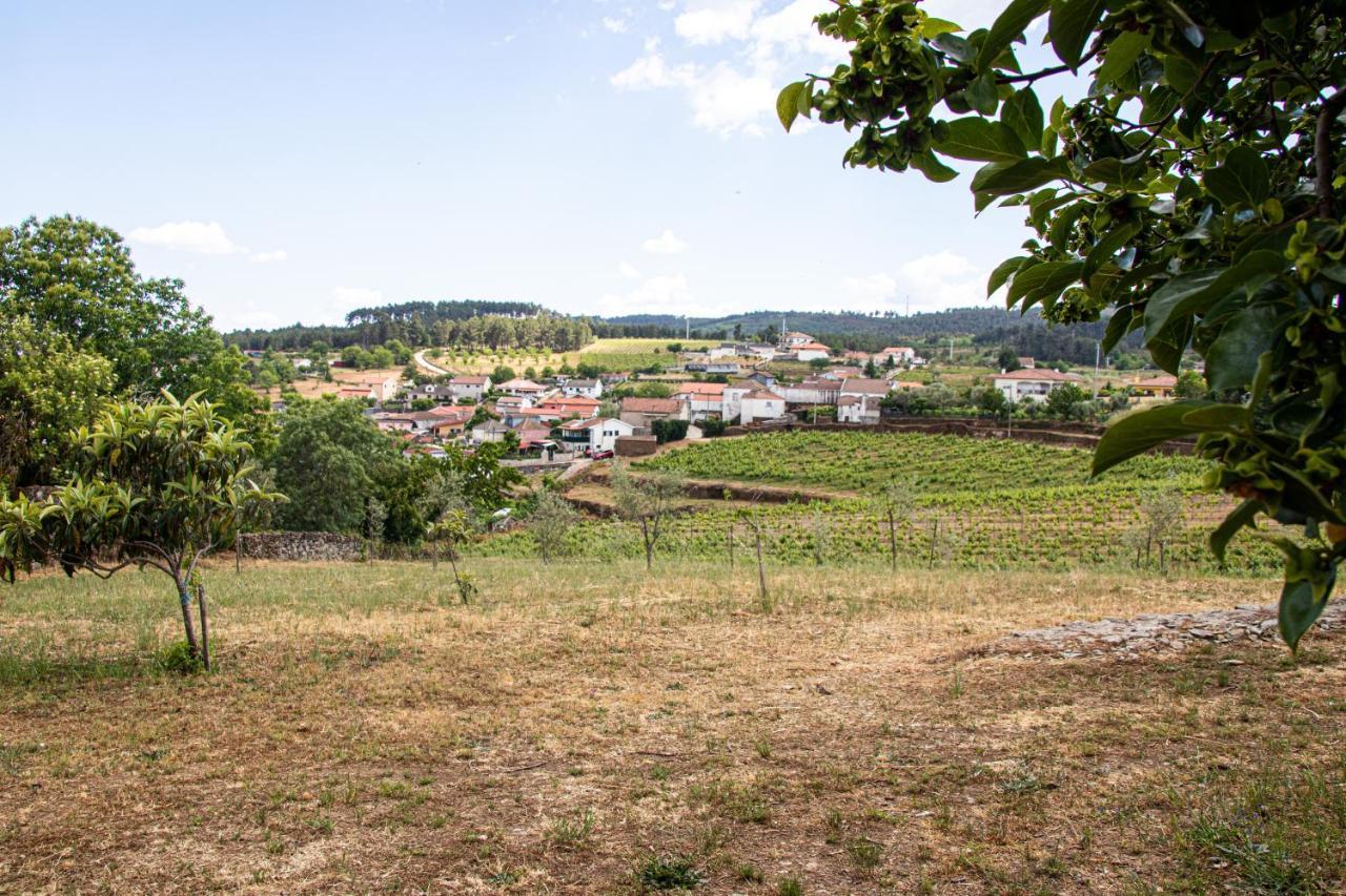 Quinta Da Eira Douro Valley Fermentoes  Exterior foto